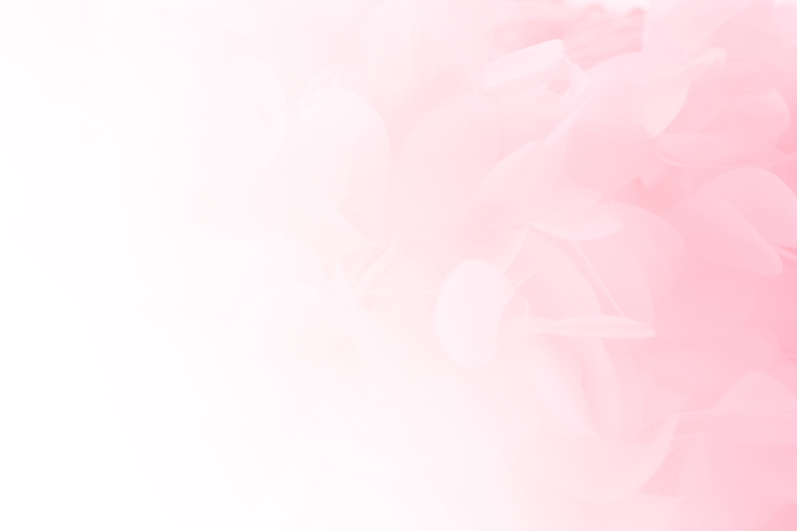 Bild mit leicht sichtbaren rosa Blumen