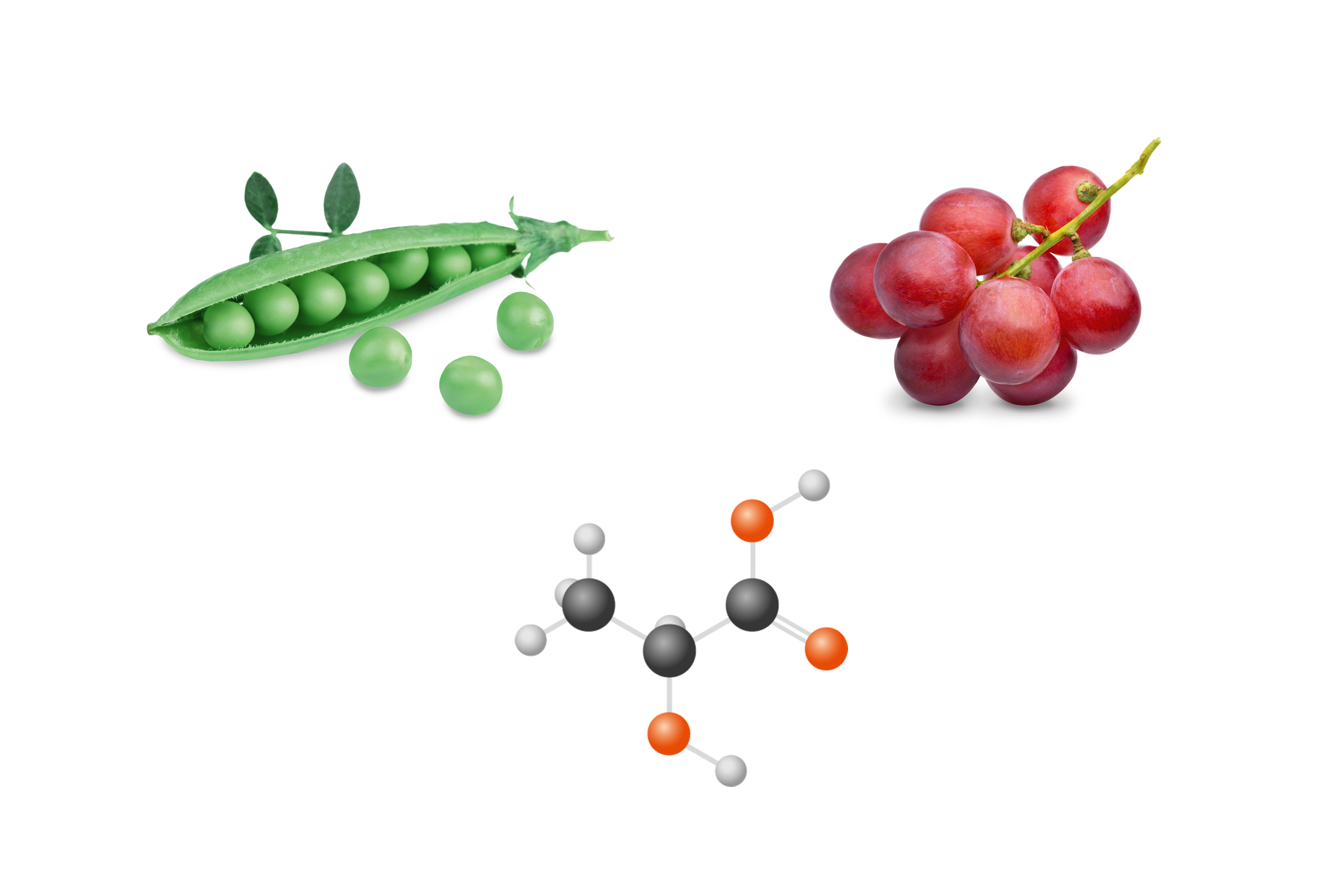 Grafik der Inhaltsstoffe der Gynenov Vaginalcreme